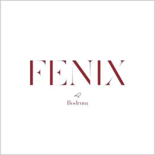 FENIX