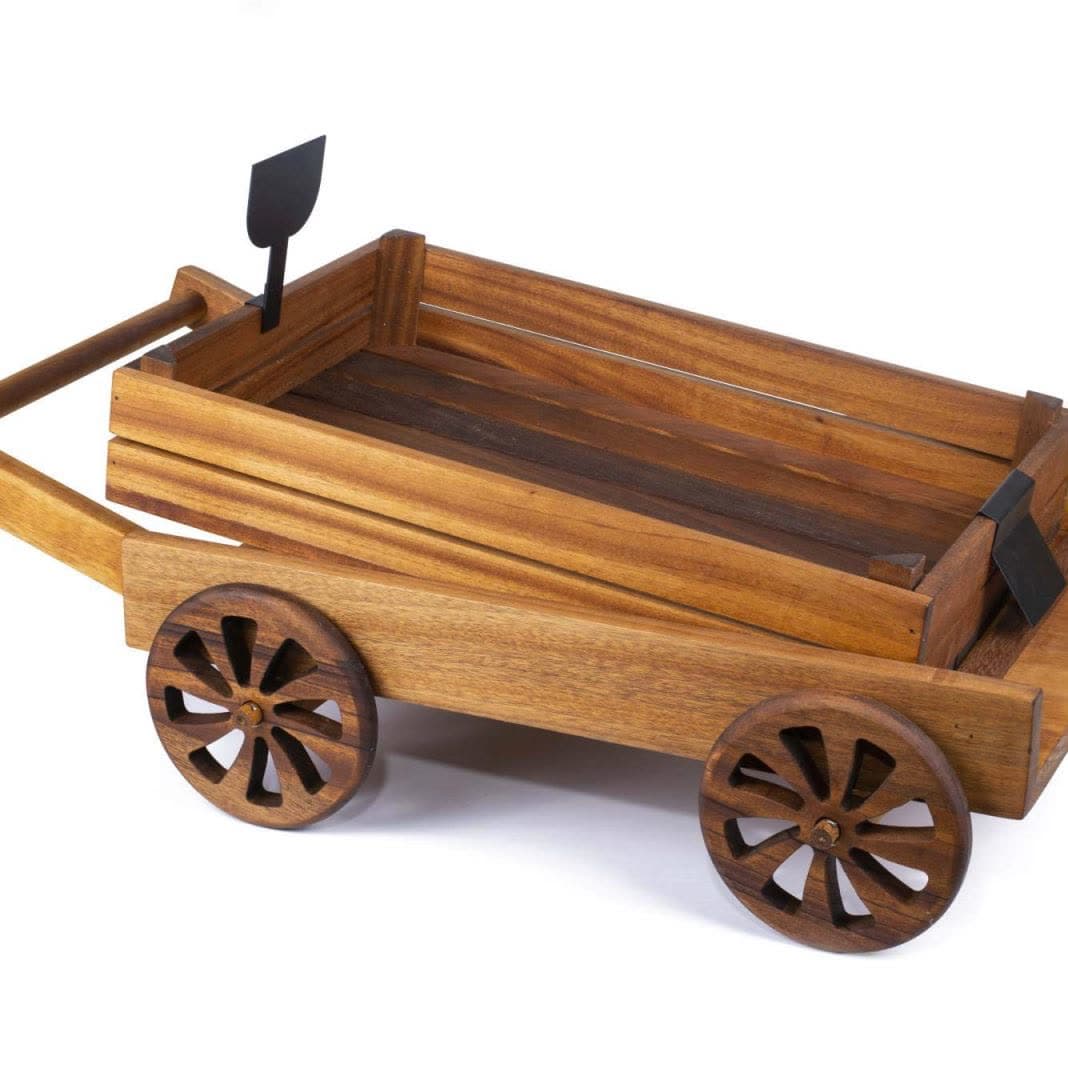 Fruit Car Mini